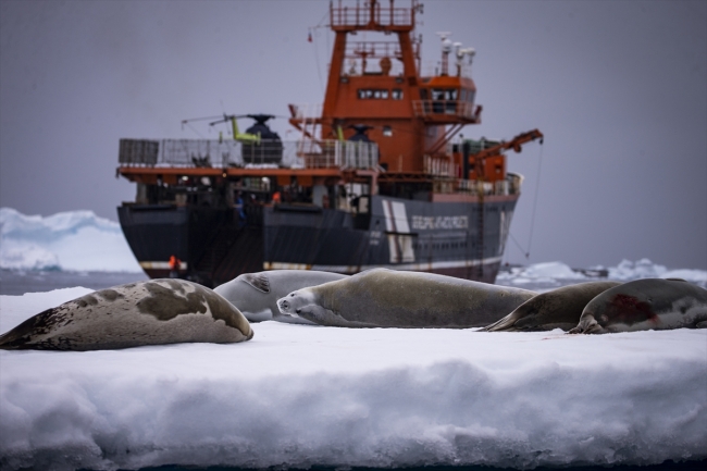 Türk bilim insanlarının Antarktika'daki zorlu seferi